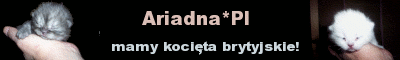 Ariadna*PL